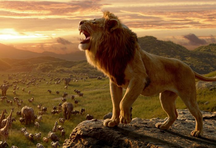 Mufasa The Lion King Full Movie Watch Online Now